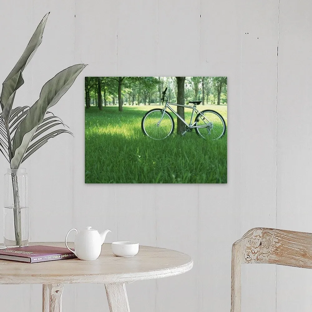 "Bicycle in shade of tree" Canvas Wall Art